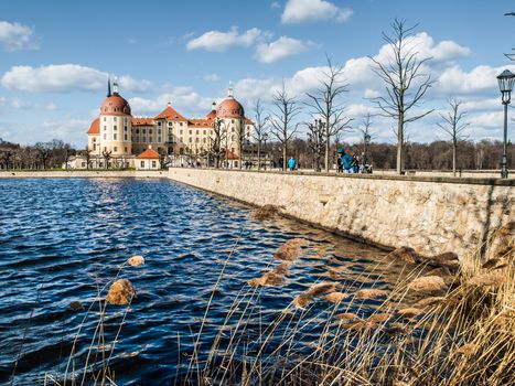 Moritzburg castle in the centre of the pond (Germany)