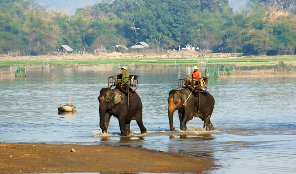 BUON ME THUOT, VIET NAM, FEBRUARY 18: Mahout riding elephant across the lake in Buon Me Thuot, VietNam on February 18, 2013