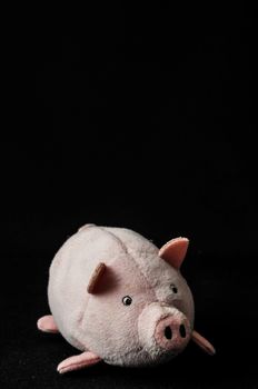 Cute pink pig animal character on a Black Background