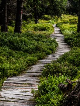 Typical wooden path in Jizera Mountains (Czech Republic)