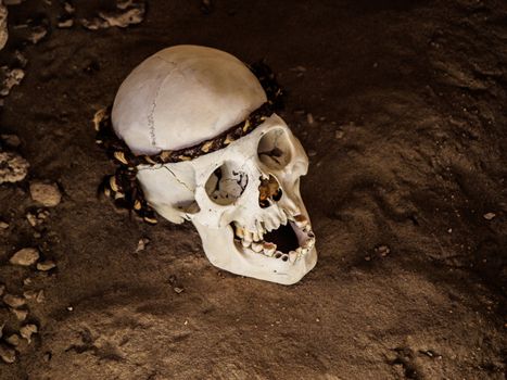Skull in Chauchilla archeological site near Nazca (Peru) Skull