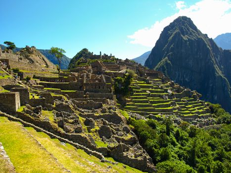 Terraces at ruins of Machu Picchu (Peru)