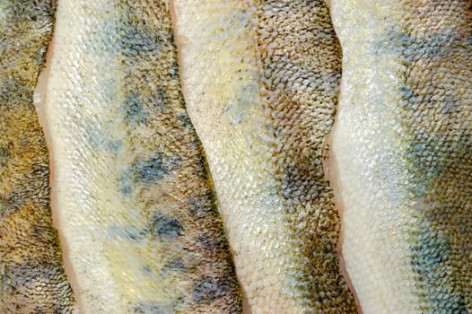 several defrosted merluccius as skin background texture