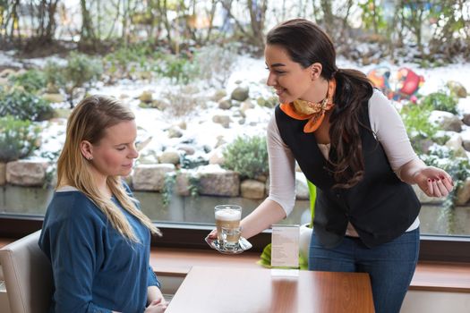 waitress serving a customer in restaurant, bistro or cafe