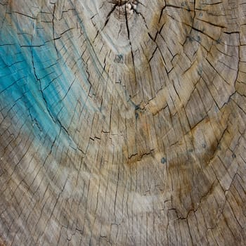 Grunge cut of wood texture for background 
