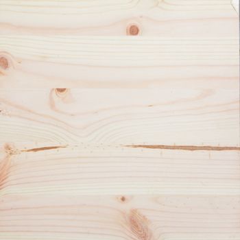 Texture of wood background 
