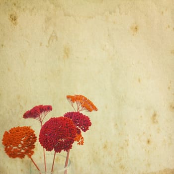 Flower grunge paper background
