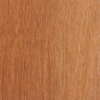 Wood Texture for Background 