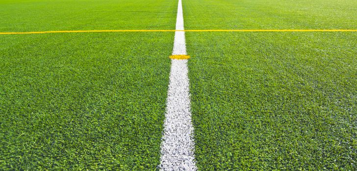 Center soccer field grass background