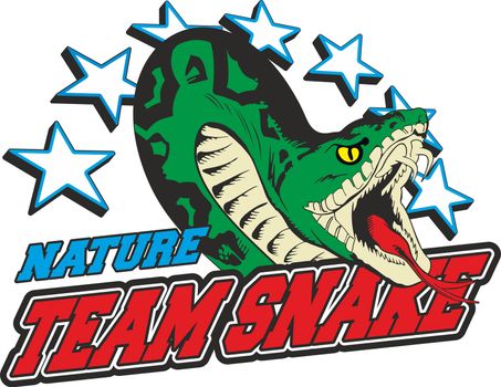 the body of a snake with stars in the background and the writing team snake.