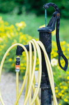 common home garden hose coiled up and hanging on a fountain