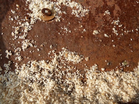 Old brown bread crumbs in a rusty tray