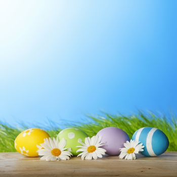 Colourful traditional Easter eggs arranged with daisies