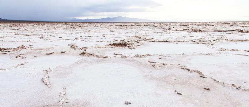 Salt desert close to Amboy, USA. Concept for desertification