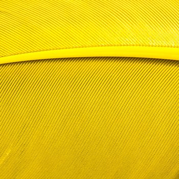 Yellow bird feather texture for background