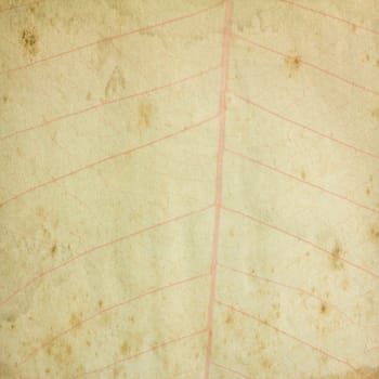 Grunge vintage paper with leaf for background