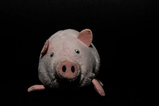 Cute pink pig animal character on a Black Background