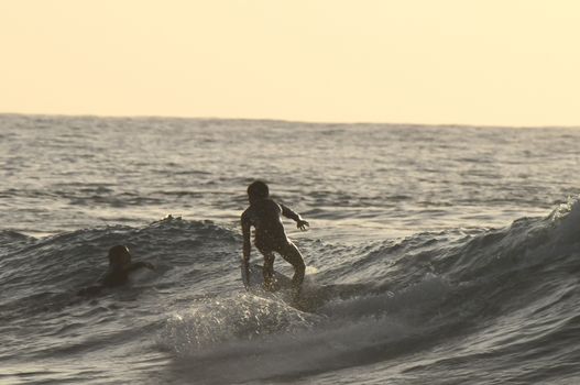 Silhouette Surfer Riding a Big Wave in Tenerife Canary Island Spain