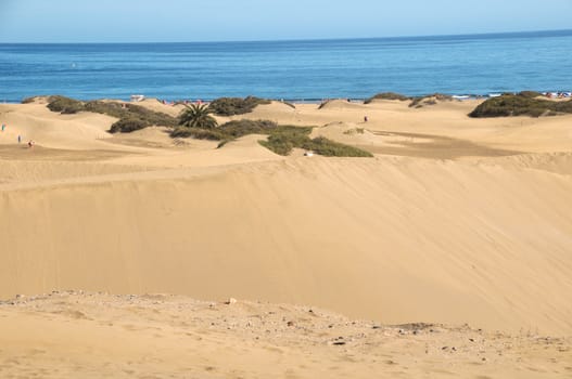 African European Sand Dune Desert Landscape in Gran Canaria Island Spain