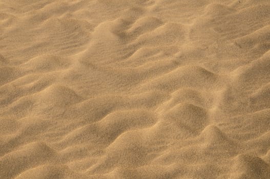 Texture Sand Dune Desert in Gran Canaria Island Spain