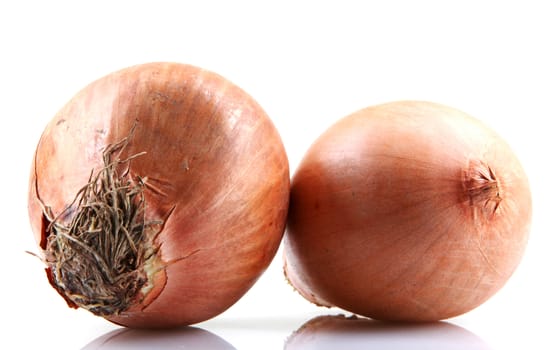 Fresh onion bulbs isolated on white background