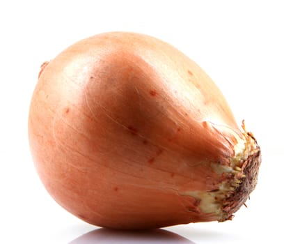 Fresh onion bulbs isolated on white background