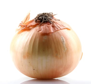 Fresh onion bulbs isolated on white background