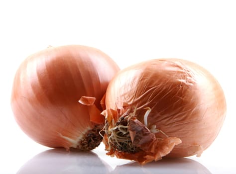 Fresh onion bulbs isolated on white background
