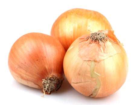 Fresh onion bulbs isolated on white background