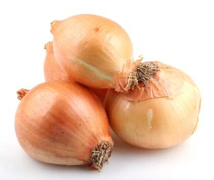 Fresh onion bulbs isolated on white background