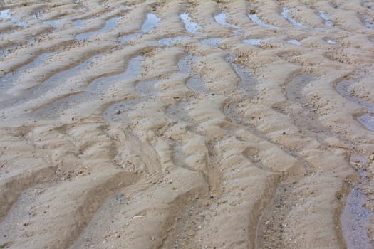 sand dunes on the beach 