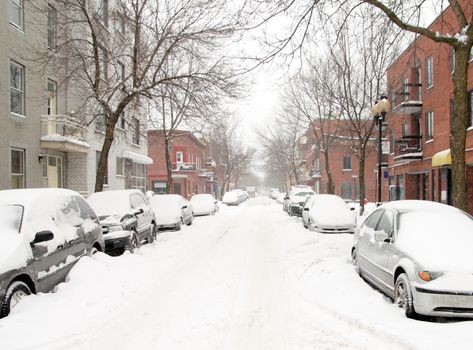 image of montreal plateau mont royal in the winter
