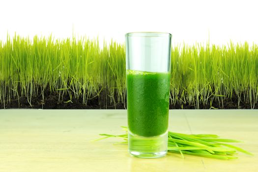 shot glass of wheatgrass with fresh cut wheat grass 