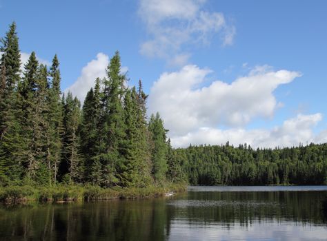 landscape of a wild ground and lake with a stack of firewood