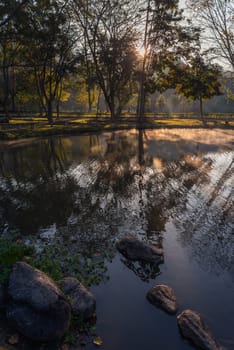 Spring morning at the river