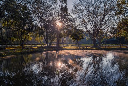 Spring morning at the river