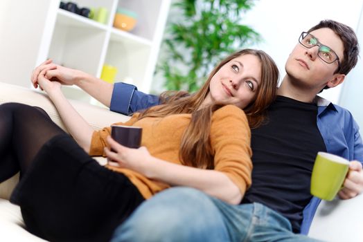 Cheerful couple relaxing together on sofa in living room