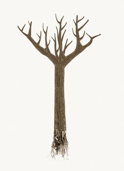 high quality dead tree with roots isolated on white