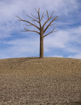 one lonely tree in a dry plowed field
