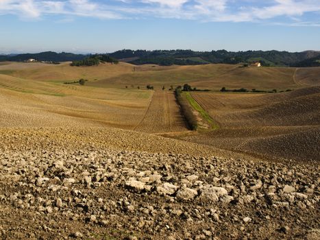 plowed field in tuscany
