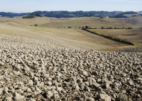 plowed field in tuscany