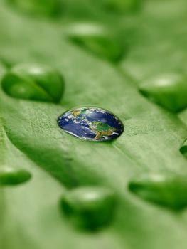 earth in water drops on a green leaf