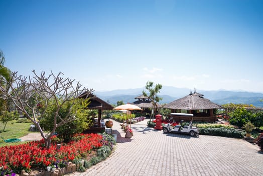 Thanatorn orange farm locate at Chiangmai,Thailand