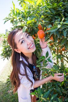 Pretty Asia woman in orange grove smiling