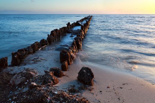 old wooden breakwater in North sea at sunset, Holland