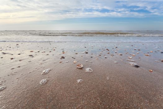 sand beach at low tide on North sea, Zandvoort aan Zee, North Holland, Netherlands