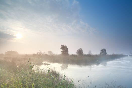 misty sunrise over swamp in summer, Friesland, Netherlands