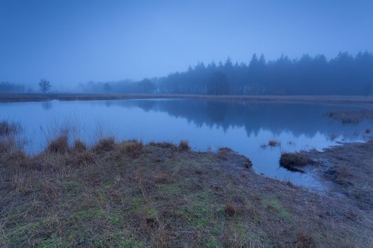 autumn fog over wild lake in dusk, Friesland, Netherlands