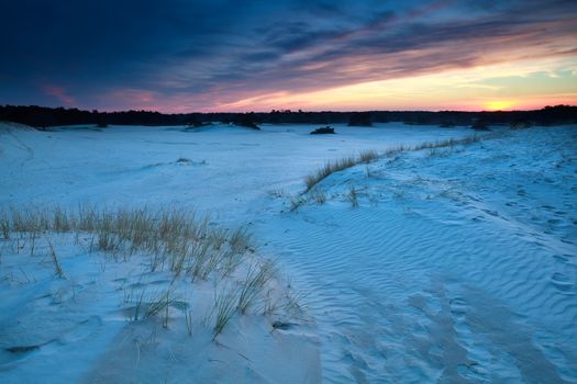 sunset over sand dunes in Gelderland, Netherlands