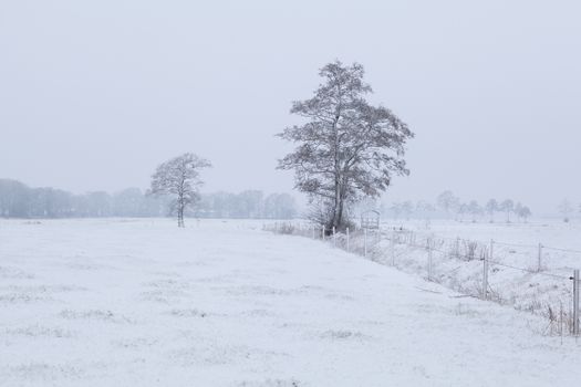 Dutch farmland in winter, Drenthe, Netherlands